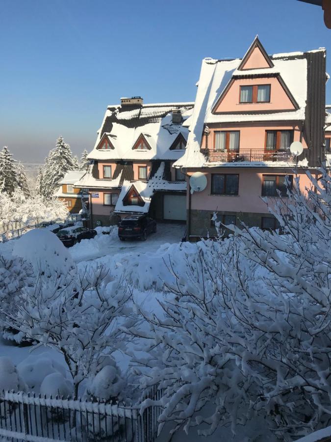 Pokoje U Borzana Bed & Breakfast Biały Dunajec Exterior foto